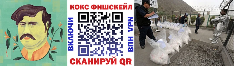 Купить закладки  Чайковский  COCAIN Fish Scale 